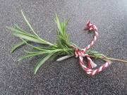 21st May 2018 - Rosemary for remembrance