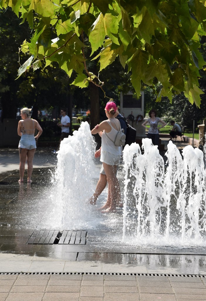 Heat wave in Budapest by kork