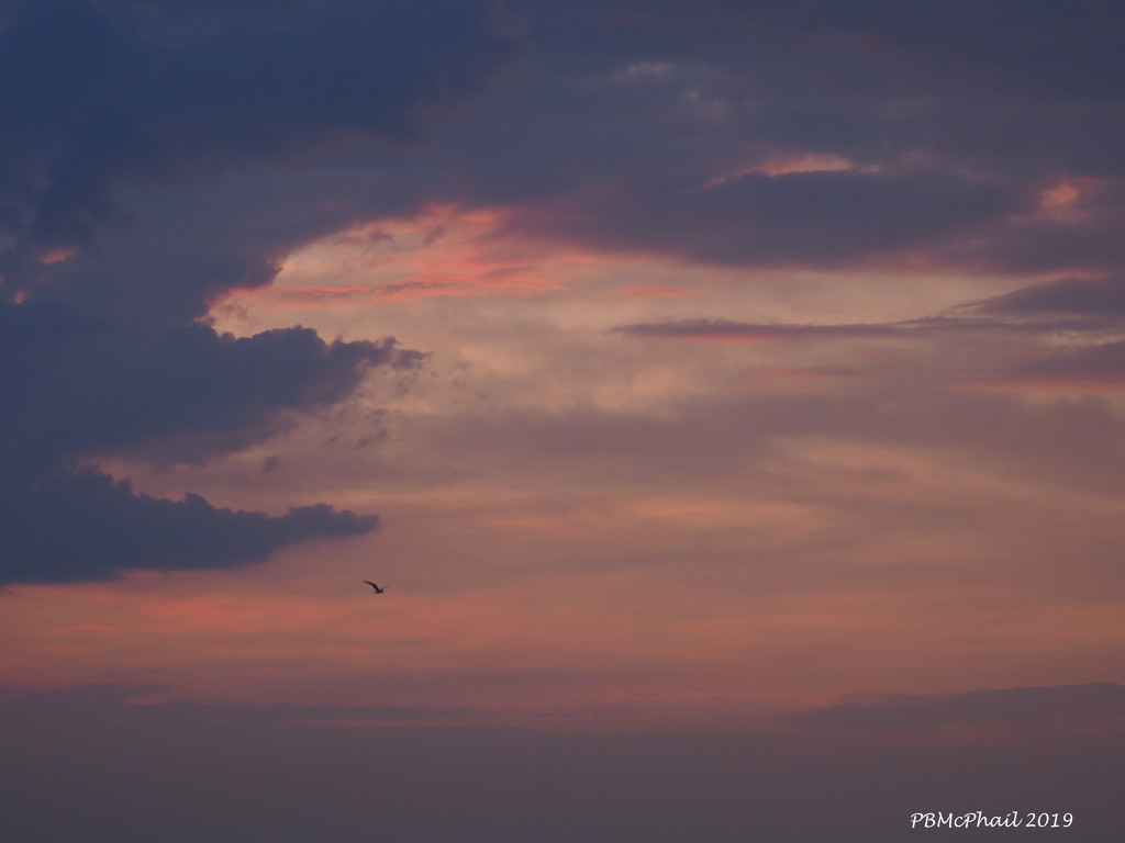Abstract Cloudscape by selkie