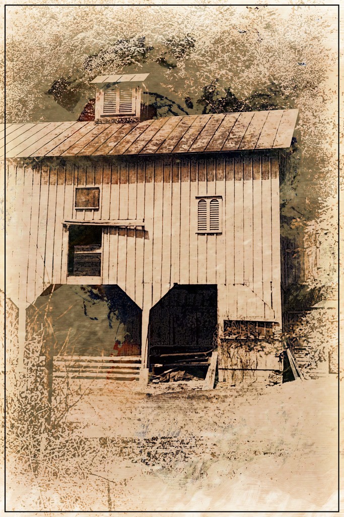 Rustic Barn by olivetreeann