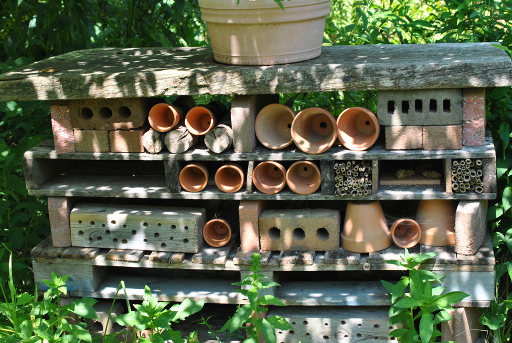 Day 215: Mason Bee Houses by jeanniec57