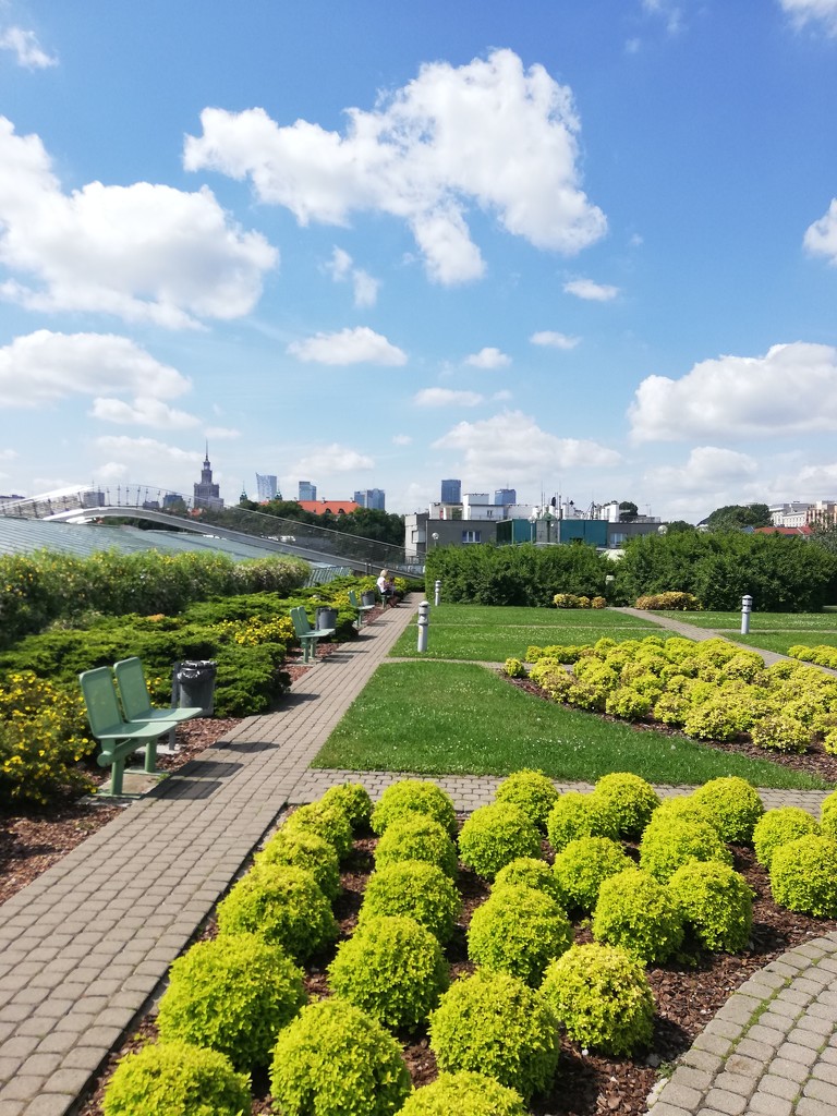 A roof garden in the middle of the city by nami