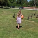 The geese do not want to play ball by mdoelger
