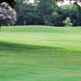 Golf course landscape by dmdfday