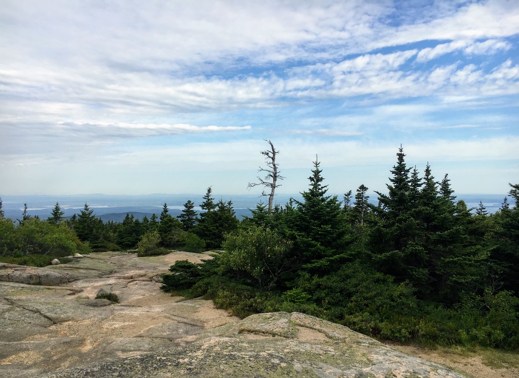 Cadillac Mountain  by wilkinscd