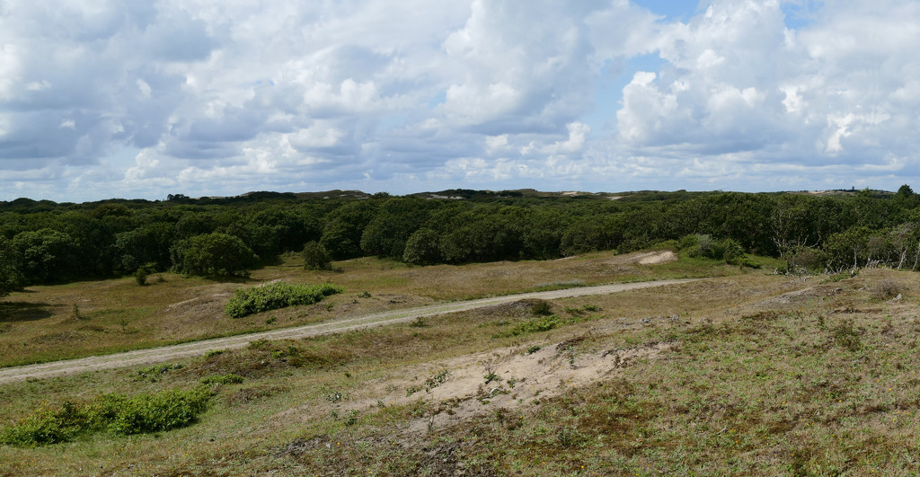panorama dunes by marijbar