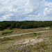 panorama dunes by marijbar