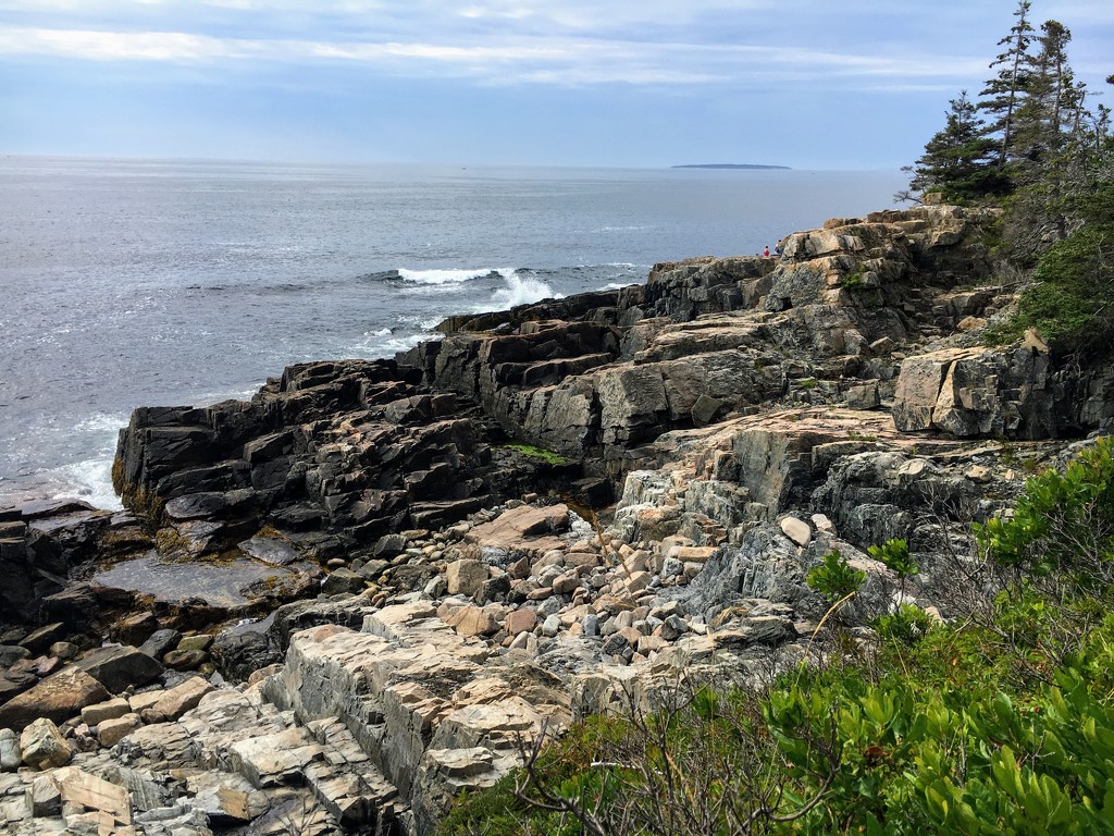 Maine Shoreline  by wilkinscd