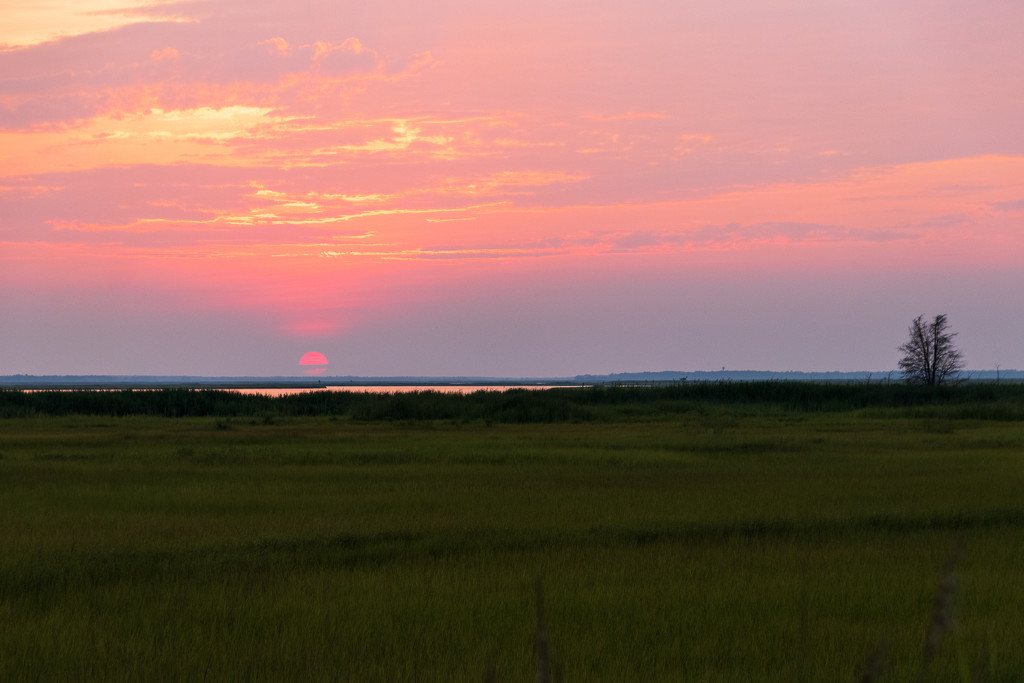 Mullica Sunset by swchappell