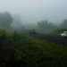 Foggy Day on the Road by farmreporter