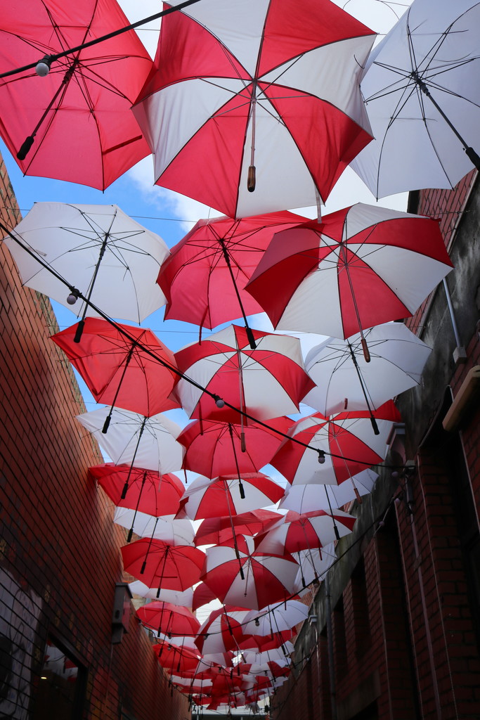 The heavenly brollies by gilbertwood