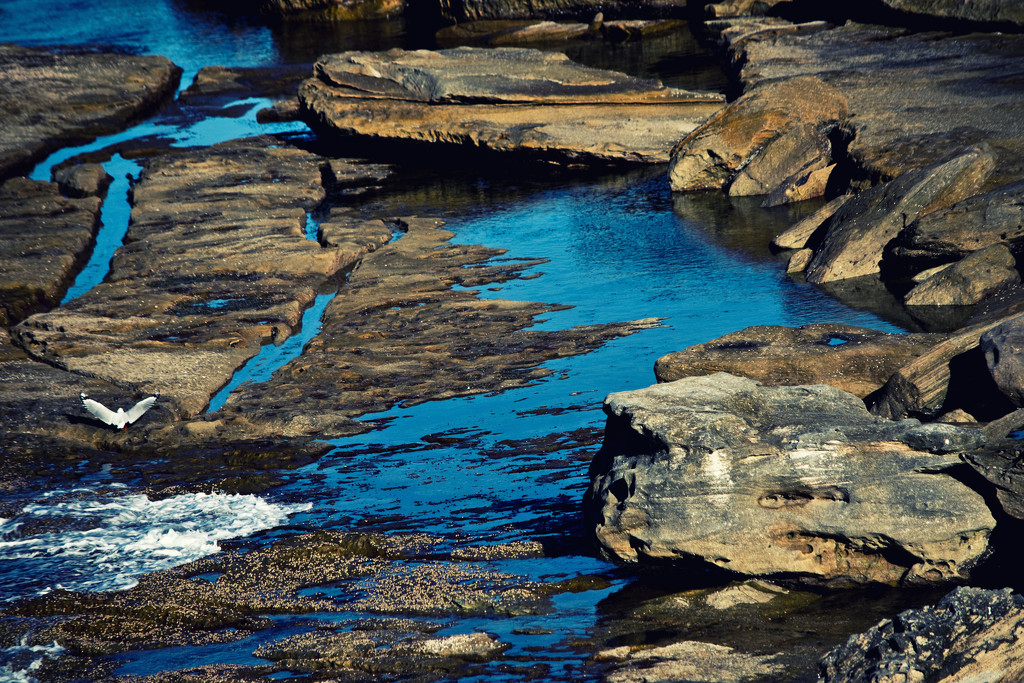 rock pools 2 by annied