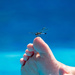 Toe Dragonfly by swchappell