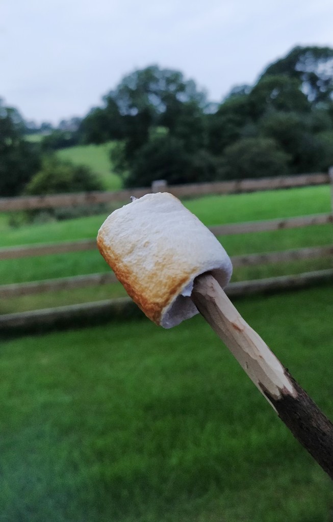 Vegan marshmallows by roachling