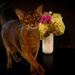 Helping me with flower arranging by berelaxed