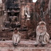 Buddha guardians  by stefanotrezzi
