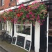 This butchers shop has a good display for the "Ludlow in bloom" competion by snowy