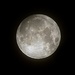 Moon Shot August 15, 2019 by olivetreeann