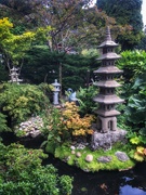16th Aug 2019 - Japanese garden