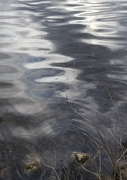5th Apr 2019 - Ripples in the River