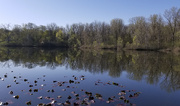 5th May 2019 - Huron River in spring