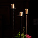 Altar Candles... by vignouse