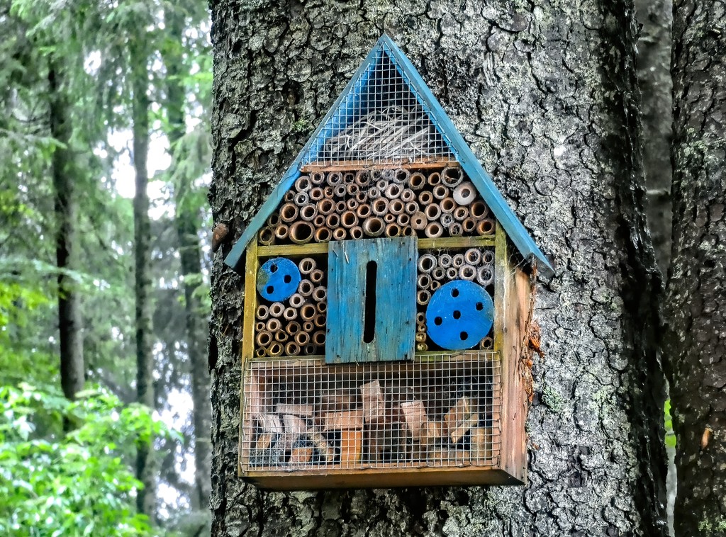 An Insect Hotel by ludwigsdiana