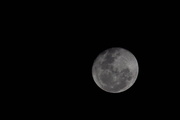 17th Aug 2019 - Tonights Moon at 8.55pm. 