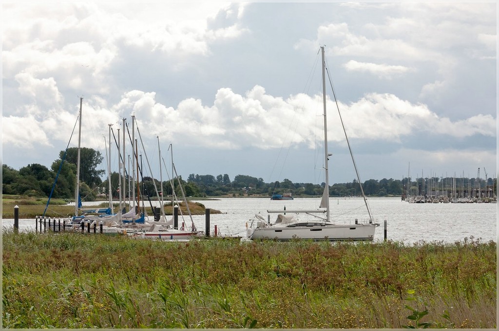 Schlei near Kappeln by lastrami_