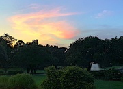 17th Aug 2019 - Sunset at Hampton Park, Charleston