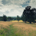 A view from the Surrey Hills by rumpelstiltskin