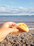 7th Aug 2019 - Sidmouth chip butty