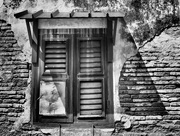 19th Aug 2019 - Wooden Shutters