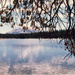 Dog Lake by larrysphotos