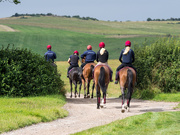19th Aug 2019 - Away to the gallops