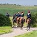 Away to the gallops by barrowlane