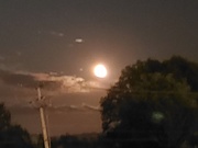17th Aug 2019 - Bad Moon on the Rise