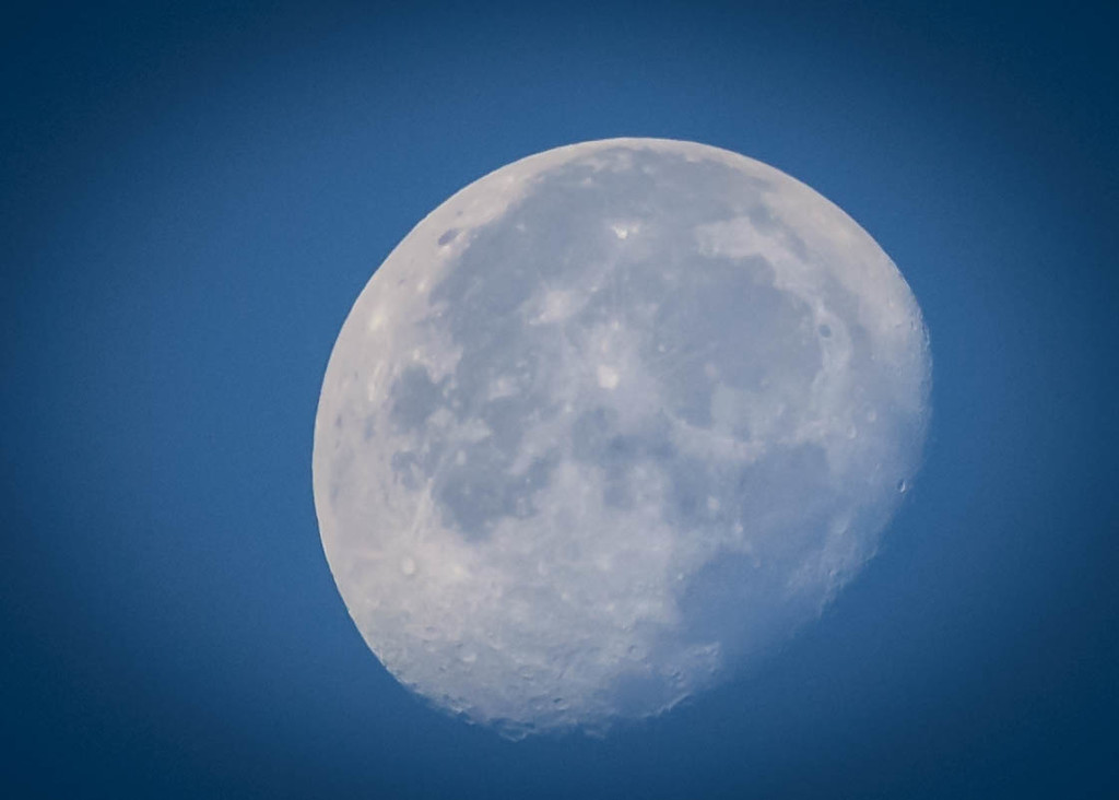 Evening Waning Gibbous Moon by marylandgirl58