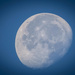 Evening Waning Gibbous Moon by marylandgirl58
