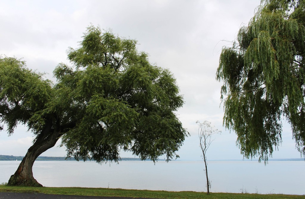 Seneca Lake by mittens