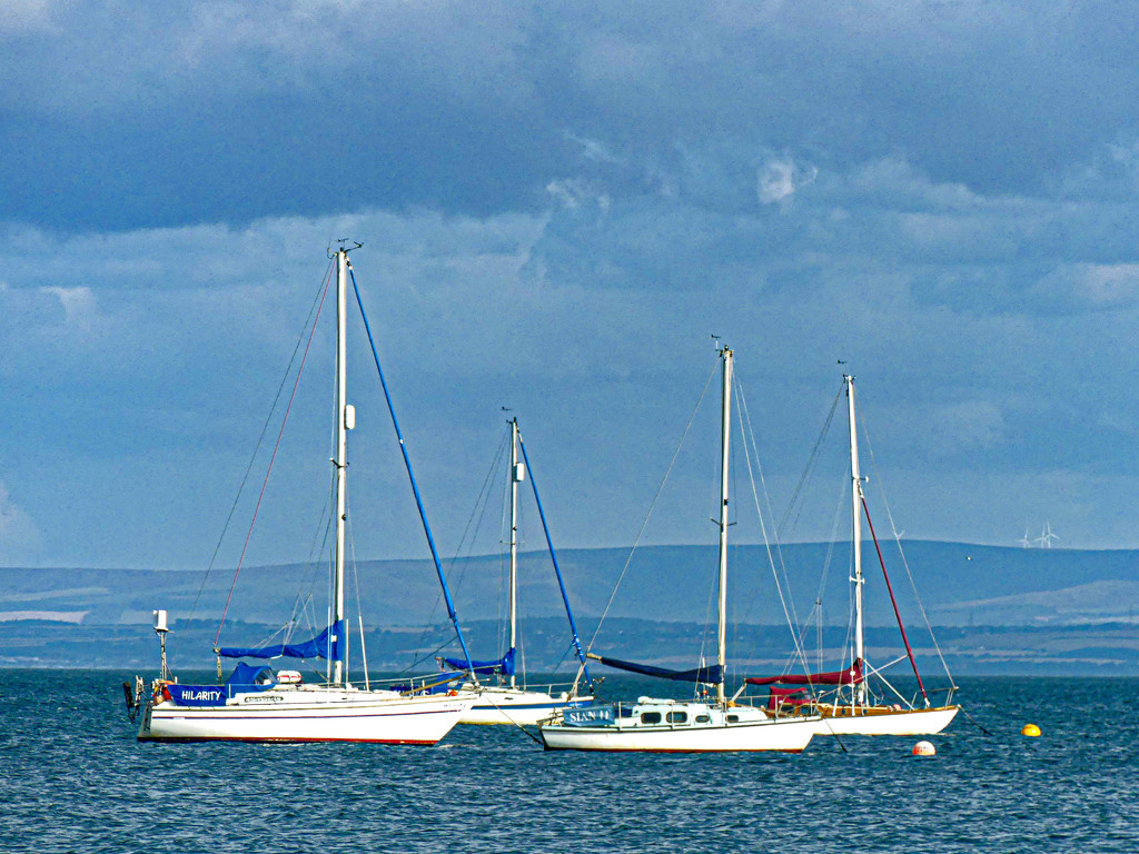 Four Yachts by frequentframes