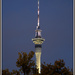 Sky Tower by dide