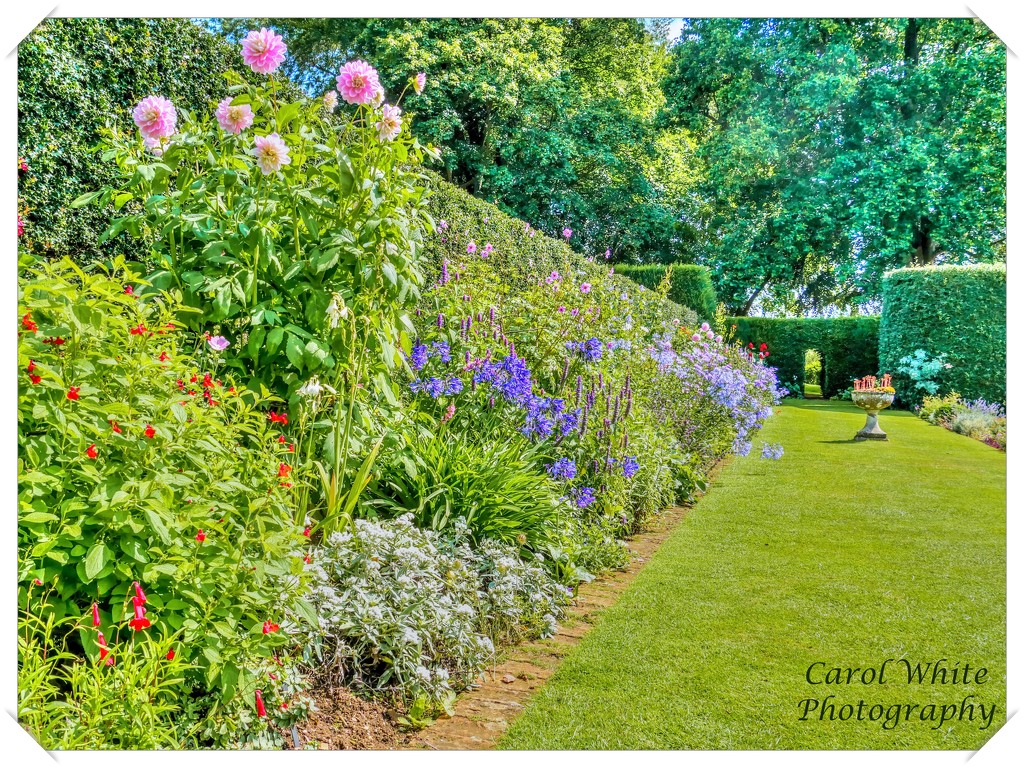 Garden View,Coton Manor by carolmw