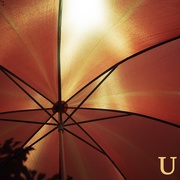 21st Aug 2019 - Umbrella