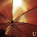 Umbrella by jacqbb