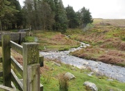 27th Apr 2018 - North Yorks moors