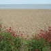 The beach at Aldeburgh by lellie