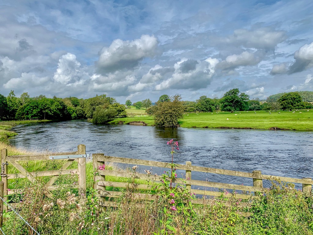River Derwent by tinley23