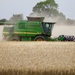 Harvesting by carole_sandford