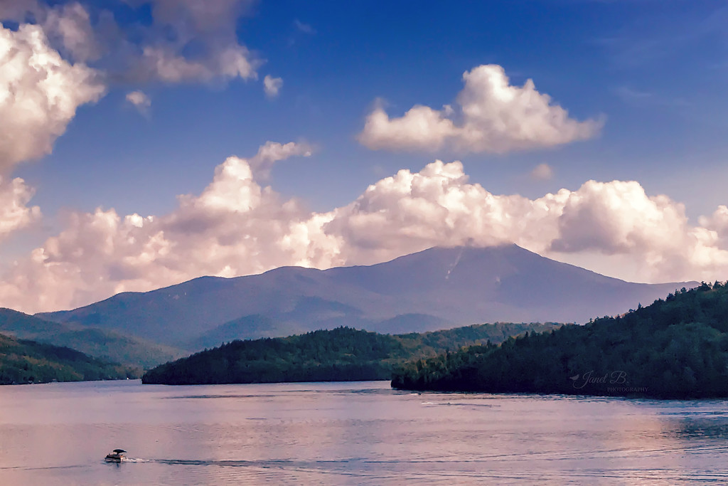 Whiteface by janetb